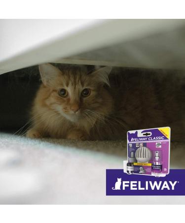 Feliway Classic Combi Set - Effective Cat Calming Solution | Shop Internationally - Buy Online on GoSupps.com