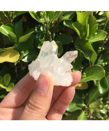 2 Pieces 60g Angel Crystal Cluster Blue and White Natural Titanium Coated Gemstone Quartz Cluster Home Decor Stones - Buy Online on GoSupps.com