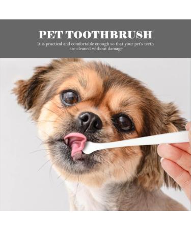 Mipcase 12 Pcs Pet Toothbrush Portable Toothbrush Cat Toothpaste Dog Small Head Toothbrush Bristles Manual - Buy Online on GoSupps.com