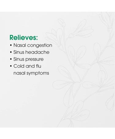 BHI Sinus Natural Congestion Relief - 100 Tablets | Homeopathic Cold Symptom Relief for Women & Men - Buy Online on GoSupps.com