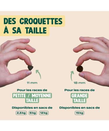 Franklin Dog Food Protein Range with 70% Salmon Mono-protein Grain-free Skin and Coat Triangle Shape 11mm 2.5 kg - Buy Online on GoSupps.com