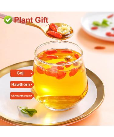 Buy Plantgift Goji Berries 125g - Antioxidant Superfood for Baking Teas & Smoothies | Keto Vegan Non-GMO - Buy Online on GoSupps.com