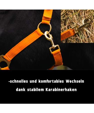 Premium Adjustable Horse Halter for Warmbloods & Thoroughbreds | Tearproof Safe & Comfortable - Ideal for Stables & Pastures (Orange Cold Blood) - Buy Online on GoSupps.com