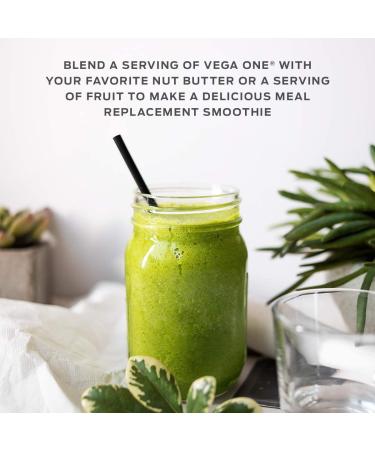 Vega One All-In-One Shake Berry - Nutrient-Dense Protein Powder 1.51 lbs (688 g) - Buy Online on GoSupps.com