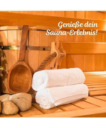 Dresden Essence Sauna Infusion Eislimone + Herbs - Fresh Lime & Mint Aroma Set (2 x 250 ml) | International Shipping Available - Buy Online on GoSupps.com