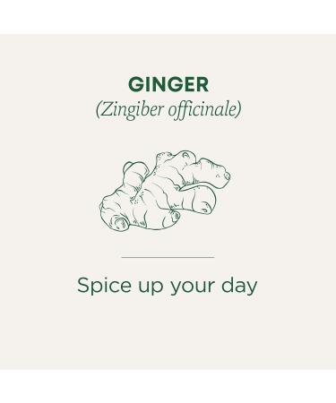 Traditional Medicinals - Organic Ginger Herbal Tea (Pack of 6) - Pleasantly Spicy & Warming - 96 Tea Bags Total Tea Ginger 16 Count (Pack of 6) - Buy Online on GoSupps.com
