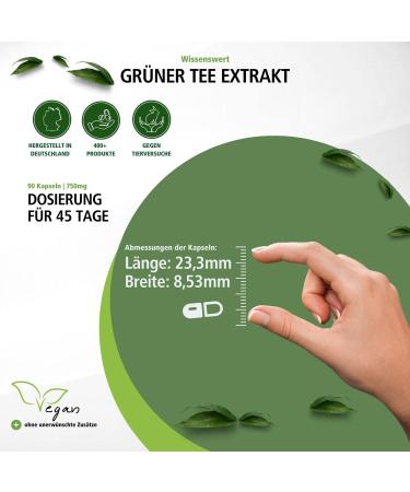 Fairvital Green Tea Capsules - 1500mg High-Dose Extract Caffeine-Free 98% Polyphenols & 50% EGCG Vegan 90 Capsules for Optimal Health - Buy Online on GoSupps.com
