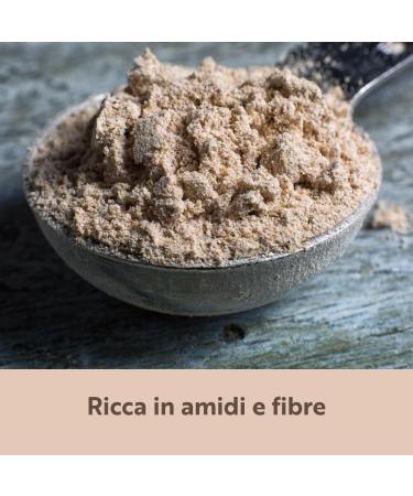 Veggy Duck - Diastatic Malt Powder (400g) | Barley Malt for Bread Making | High Diastatic Power | Made in Italy A. Diastatic Malt Powder (400g) - Buy Online on GoSupps.com