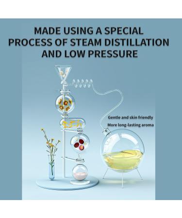 Massage Oils for Date Night Kit | Aromatherapy Sensual Oils for Couples | 6 Flower & Plant Essence Essential Oils (10ml per bottle - Buy Online on GoSupps.com