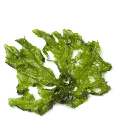Fresh Lettuce Seaweed 1 kg -/+10%