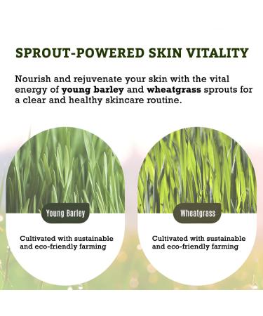 ABOUT ME Sprout Mild pH Morning Cleanser - Gentle Low pH Face Wash for All Skin Types | Natural Ingredients | 195ml - Buy Online on GoSupps.com