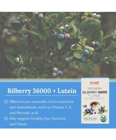 Hi Well Premium Bilberry 36000 + Lutein 12mg 60Vegtarian Capsules - Buy Online on GoSupps.com