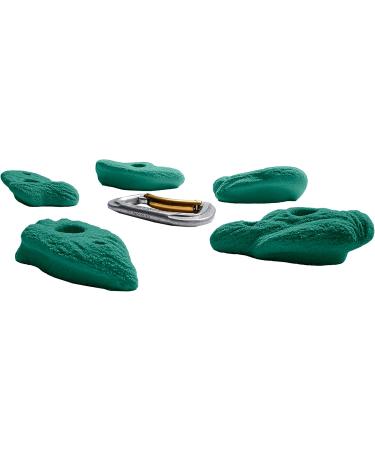 RockHolds Desert Climbing Hold Set - Easy-to-Grab Green Gym & Home Wall Bouldering Holds - Buy Online on GoSupps.com