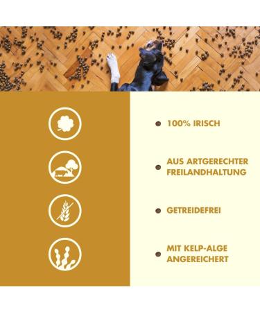 Irish Pure Dry Dog Food 12kg | Chicken & Kelp | Grain-Free | High Meat Content for All Breeds | Sensitive Digestion - Buy Online on GoSupps.com