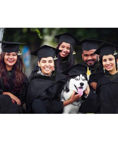 Pet Graduation Caps with Yellow Tassel - Small Dog & Cat Holiday Costume Accessory - Buy Online on GoSupps.com