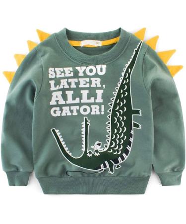 Boys Sweatshirt for Kids Dinosaur Jumper Cotton Casual Top Long Sleeve Pullover T-Shirt Toddler Girls Shirts Baby Clothes 1-8 Years 3-4 Years 02 Green