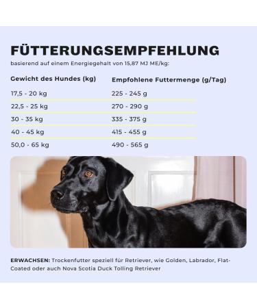 Premium Grain-Free Dry Dog Food - Hey Holy High-Meat for Adult Dogs (Lamb) - International Shipping Available - Buy Online on GoSupps.com