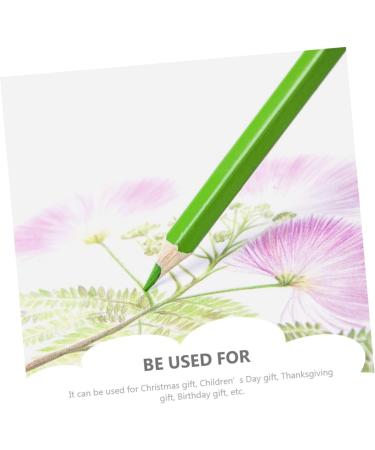 Lurrose 72 pcs Kids Coloring Accessory Art Multi-function Convenient Portable Pencils School Drawing Colorfulx2pcs 17.5X0.8CMx2pcs - Buy Online on GoSupps.com