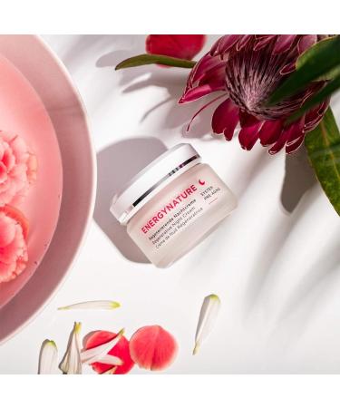ANNEMARIE B RLIND ENERGYNATURE SYSTEM PRE-AGING Regenerating Night Cream 50ml - For Normal to Dry Skin - Nourishing Energizing & Regenerating - Vegan - Buy Online on GoSupps.com