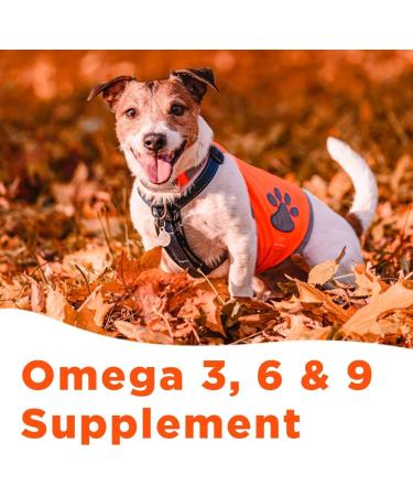 Pooch & Purr 500ml Salmon Oil for Dogs. Salmon Oil Cats Puppy Ferret & Pets. Pure Omega 3 6 9 Fish Oil for Dogs. Food Supplements for Itchy Skin Coat Joint Care. Dog Vitamins and Supplements - Buy Online on GoSupps.com