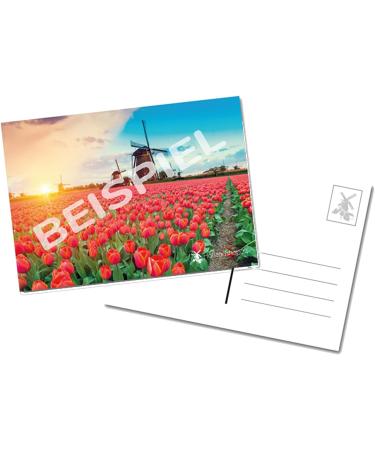 KLENE Suikervrij Dubbelzoute Dobbelstenen I Sugar Free I Liquorice Double Cube I 110 g - Buy Online on GoSupps.com