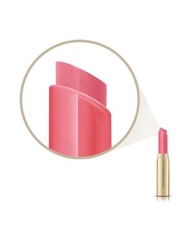 Max Factor Lab Intens Balm 05 - Hydrating Lip Balm for All Skin Types | International Shipping Available - Buy Online on GoSupps.com