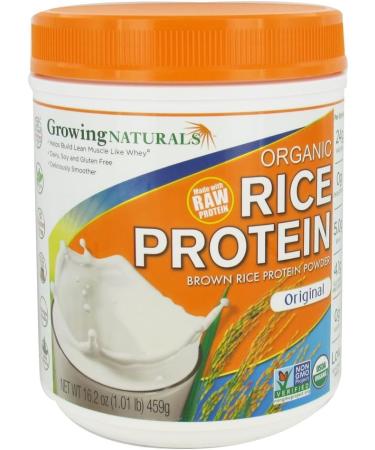 Original Rice Protein Isolate Powder 16.2 oz | Vegan Protein Supplement | International Shipping Available - Buy Online on GoSupps.com