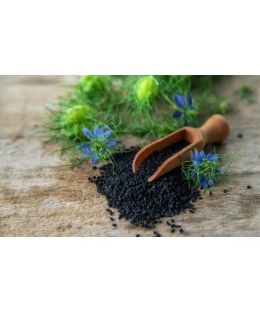 HANDI BLACK SEEDS (KALONJI SEEDS) 200Gm NIGELLA SATIVA - Buy Online on GoSupps.com