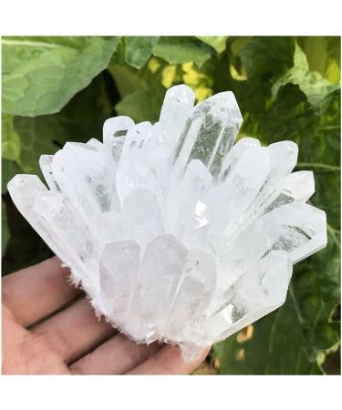 1pc Natural Crystals Clear Quartz Cluster Freeform Reiki Stones Room Home Office Aquarium Decoration Accessories Gemstone Home Decoration (Size : 600-650g) - Buy Online on GoSupps.com