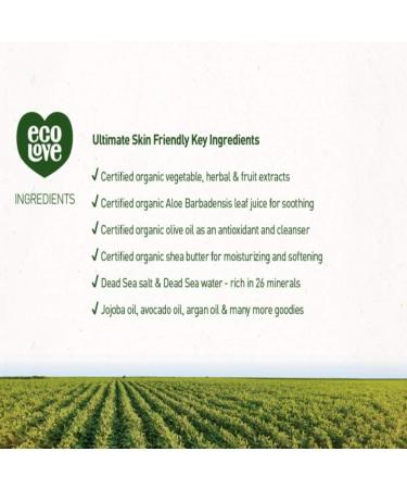 ecoLove Natural Shampoo for Dry & Color-Treated Hair | Organic Lavender, Vegan, SLS & Paraben-Free - 17.6 oz - Buy Online on GoSupps.com