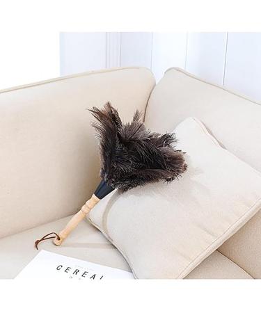 FCSHFC Natural Ostrich Feather Duster 2 Pcs Dusters for Cleaning Soft and Fluffy Duster for Interior Exterior Office Blinds Cleaner Brown - Buy Online on GoSupps.com
