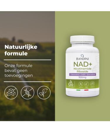 Bandini NAD+ liposomaal 120 capsules NAD supplement nicotinamide riboside chloride + Quercetine Resveratrol Coenzym Q10 Antiaging Energiemetabolisme 1100mg per portie 100 Vegan NonGMO - Buy Online on GoSupps.com
