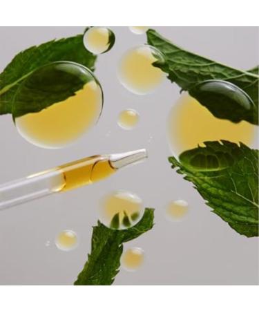 Buy THEROOTBRANDS Root Wellness Clean Slate - Bioavailable Silicic Acid with Vitamin C (30 ml) | International Shipping Available - Buy Online on GoSupps.com