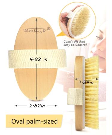 Natural Bristle Dry Brush for Skin Massage and Exfoliation | Lymphatic Drainage and Cellulite Removal | Body Scrubber for Back, Underarms, Legs, and Feet - Buy Online on GoSupps.com