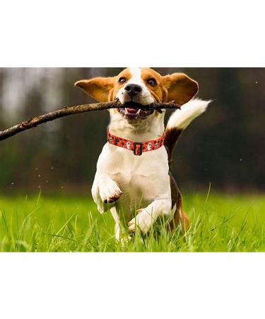 Mihqy Halloween Dog Collar - Adjustable Soft & Comfortable Collars for Small to Medium Dogs & Cats (Neck 25-40 cm Width 1.5 cm) - Perfect for Spooky Season - Buy Online on GoSupps.com