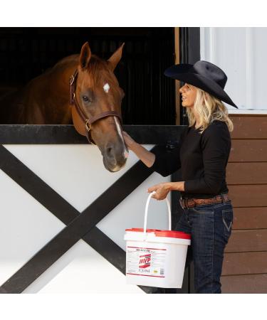 MVP Air-Way EQ (5lb) Supports Healthy Lung Function and Seasonal Allergy Support in Horses - Buy Online on GoSupps.com