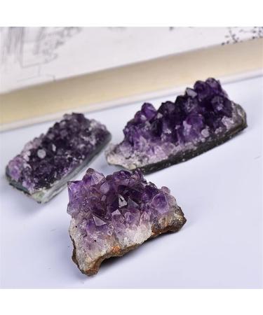 1PC Natural Amethyst Cluster Quartz CrystalStones Reiki Stones Crystal Point Specimen Home Decoration Raw Crystals for Crystal Cluster (Color : Amethyst Size : 4PCS) 4PCS Amethyst - Buy Online on GoSupps.com