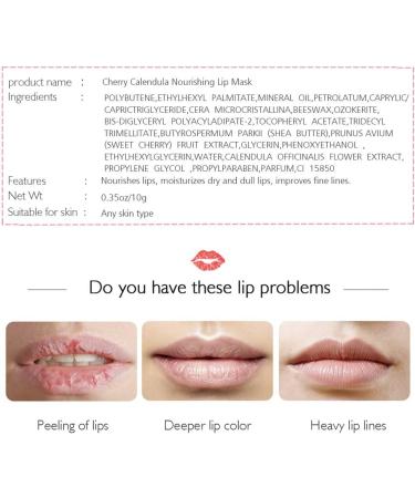 Lip Sleeping Mask Cherry Moisturizin Lip Mask Fall Winter Lip Care Balm for Lighten Lip Lines Repairing Anti Aging Anti-Wrinkle Nourishing 10g - Buy Online on GoSupps.com