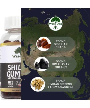 Wise Oak Shilajit Gummies 500mg - Chaga, Ashwagandha, B12, D2 Vitamins - Black Cherry Flavored Vegan Ayurvedic Supplement - Buy Online on GoSupps.com