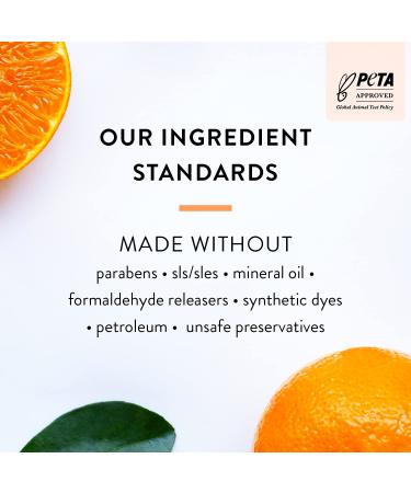 Punish & Invigorating Body Lotion 100ml - Vegan Grapefruit & Olive Oil Enriched with Apricot Oil Sustainable & Plastic-Free | The Pro CO - Buy Online on GoSupps.com