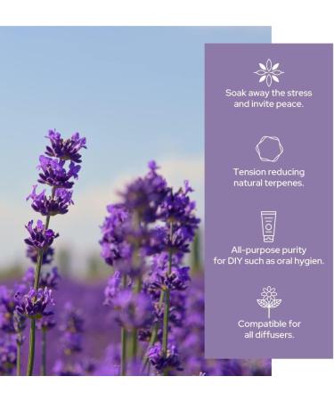 Plant of Life Essential Oil - 100% Pure and Natural - Therapeutic Grade Essential Oil with Dropper (Lavender 2 oz (60mL)) - Buy Online on GoSupps.com