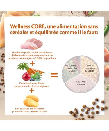 Wellness Core Original Sterilized Cat Food Natural and Grain Free Chicken/Turkey 4 kg - Buy Online on GoSupps.com