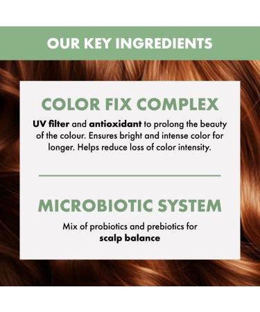 Semi di Lino Energizing Shampoo Alfaparf Milano - Buy Online on GoSupps.com