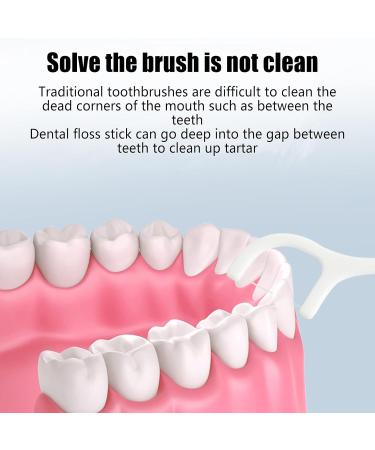 Pack of 250 Dental Floss Sticks - Disposable Toothpicks for Family Travel & Hotel - Unflavored Dental Care - Buy Online on GoSupps.com