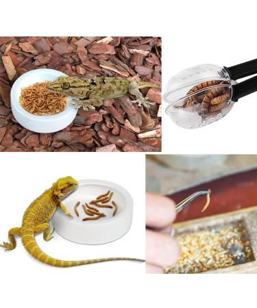 Yitaocity 5in1 Reptile Feeding Tongs Cricket Clamp Bug Scooper + 2X Tweezers +2X Reptile Water Food Dish Bowl for Hamsters Lizard Spider Bearded Dragon (White Bowl) - Buy Online on GoSupps.com