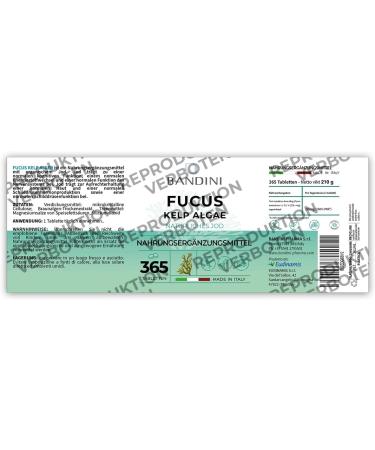 Buy Bandini Fucus Kelp Algae 150mcg - Natural Iodine Source for Energy Metabolism Hair & Nails | High Dose Vegan 365 Tablets - International Shipping Available - Buy Online on GoSupps.com