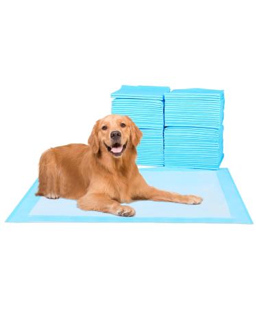 Scratchs dog and puppy pad 60 x 90 cm training pads for dogs super absorbent pet pad puppy documents waterproof blue 20 pieces size L blue L