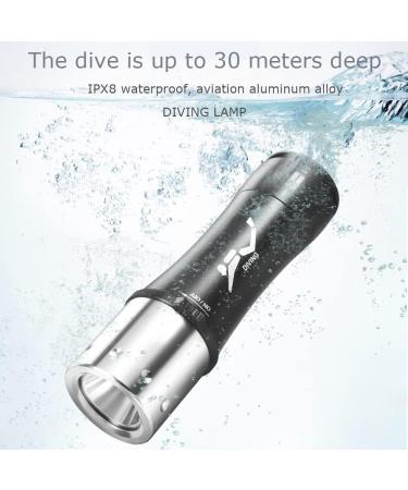 2 Pack 1200 Lumens Diving Flashlight | IPX8 Waterproof Dive Light with L2 LED Torch | Rechargeable Power | Ideal for Scuba, Snorkeling, and Underwater Sports - Buy Online on GoSupps.com