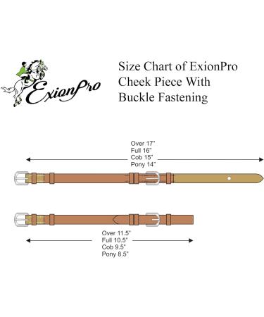 ExionPro Bridle with Buckle Closure - 16mm Brown Replacement Cheek Piece (Havana Brown) for Pony - Shop Internationally! - Buy Online on GoSupps.com