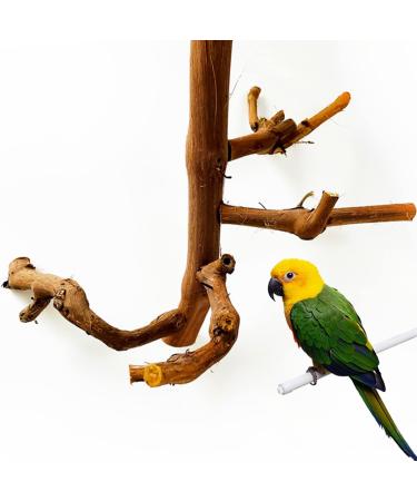 Allazone Natural Wood Bird Accessories - Parrots Climbing Bars & Grape Branches for Bird Cages - Buy Online on GoSupps.com